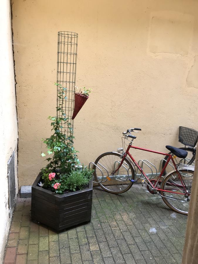 La Cour Des Cordonniers, Centre Cathedrale Petite France Appartement Straatsburg Buitenkant foto